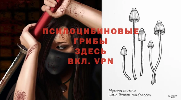 прущие крисы Богданович