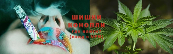 прущие крисы Богданович