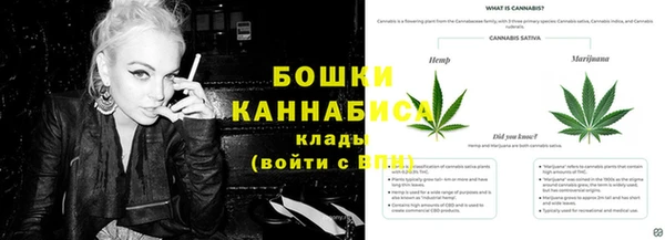 2c-b Богородск