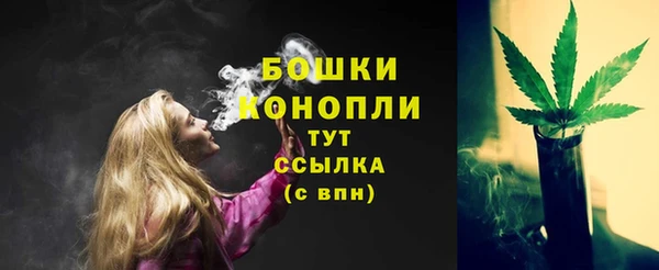 бошки Богородицк